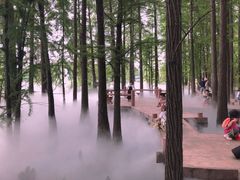 -东湖落雁景区