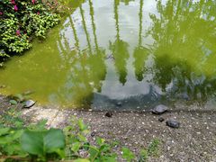 -成都市文殊院