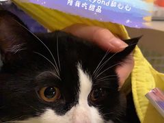 -太清凉茶糖水(前海店)