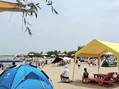 -呼兰河口湿地公园