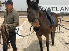 -松声马术俱乐部