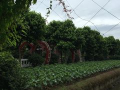 -广州花之恋城堡酒店