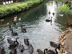 -长白岛森林公园