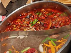 -蓉客成都火锅·招牌麻辣牛杂·特色香辣蹄花(凌水店)