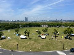 -春花秋色城市公园