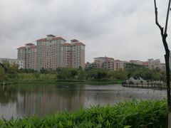 -映月湖公园