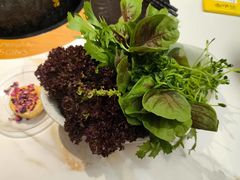 -芸山季·云南山珍菌火锅(南翔印象城MEGA店)