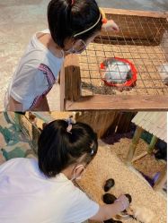 -酷嗒动物文化乐园(cutezoo西溪乐天城店)