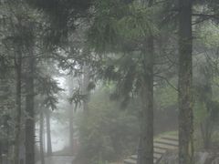 -山王坪喀斯特国家生态公园