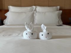 -三亚湾海居雅高铂尔曼度假酒店