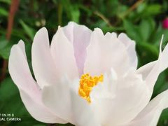 -金堂县云顶石城风景区