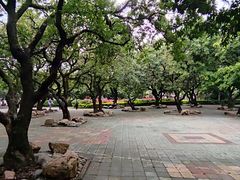 -荔枝公园(福田区)