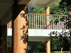 -广悦华阳朔河畔度假酒店(十里画廊遇龙河店)