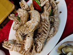 -蛇口康乐快餐鱼仔档(翠苑小区店)