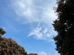 -玄武湖景区-情侣园游乐场