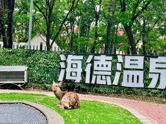 -海德温泉生活馆(朝阳大悦城店)