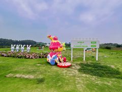 -空港花田景区