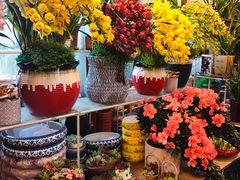 -双季花艺园艺市场(浦东店)