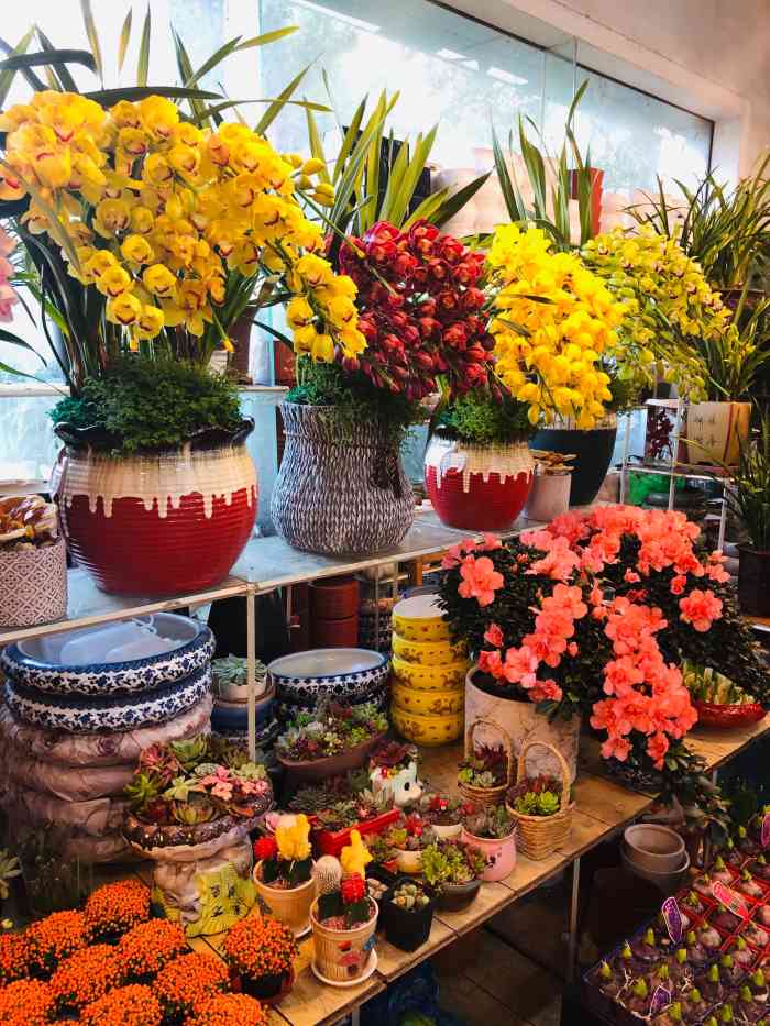 上海双季花卉市场图片