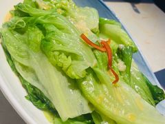 -点都德·毕德寮