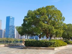 -天鹅湖体育公园