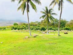 -三亚南山文化旅游区