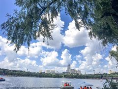 -长春市南湖公园