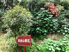 -灵岩山风景区