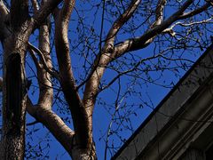 -渤海大学(松山校区)