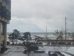 -金沙滩喜来登度假酒店-雅日本餐厅
