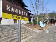 -大唐贡茶院
