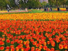 -大宁公园