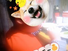 -火锅岛潮牌自助餐厅(天津天佑城店)