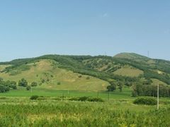 -塞罕坝国家级自然保护区