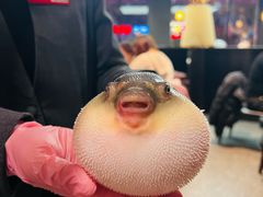 -永安鱼庄·镇江菜(东吴路店)