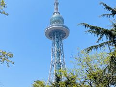 -青岛电视塔