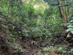 -飞霞风景名胜区