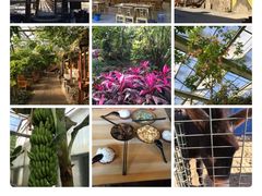 -呀路古热带植物园