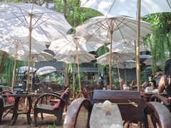 -Fern Forest Cafe