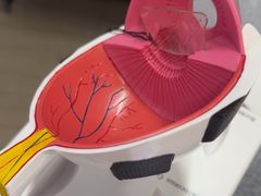 -武汉大学附属爱尔眼科医院(湖北总院)