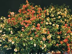 -长沙火车站(地铁站)