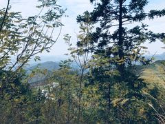 -罗田薄刀峰风景区