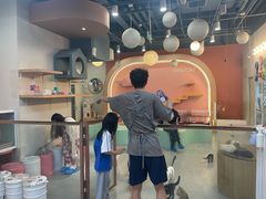 -Honey Bacca 哈尼芭卡高端萌宠(朝阳大悦城店)