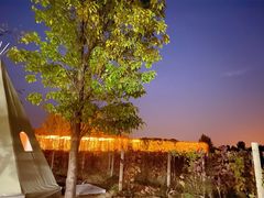 -安德鲁户外烧烤帐篷营地(马泉营店)