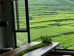 -野蔓果·山野菜(西湖景区·龙井茶田店)