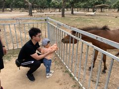 -西安秦岭野生动物园