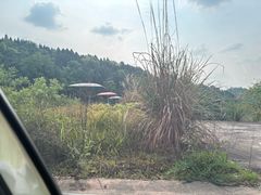 -中国死海旅游度假区