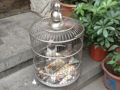 -郭家大院(新源店)