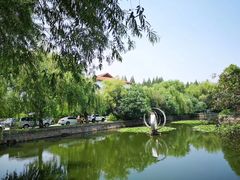 -小海豚国际游泳培训(长宁龙之梦酒店)