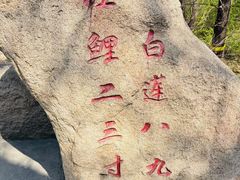 -黑龙江省森林植物园